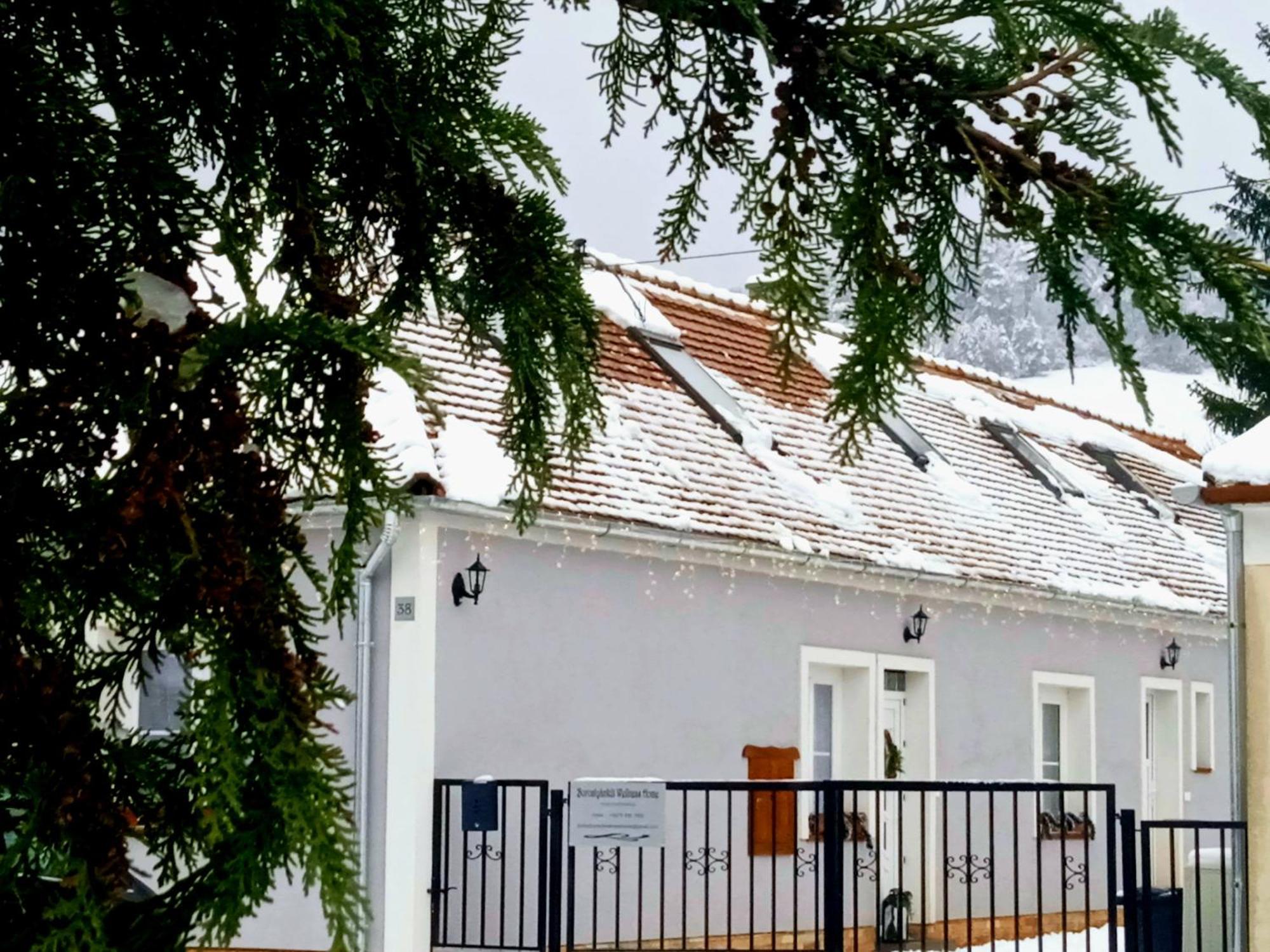 Borostyankut Wellness Home Bakonybel Exterior photo